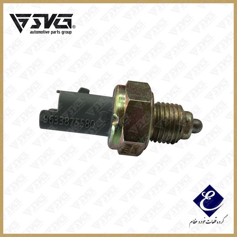 فشنگی دنده عقب پژو 405 عظام