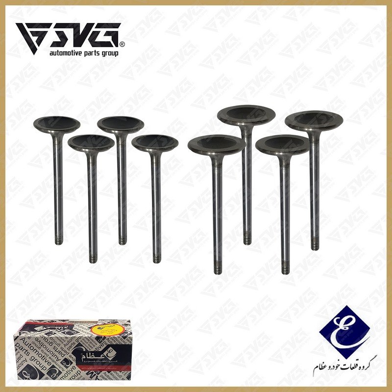 ست سوپاپ دود و بنزین روآ گازسوز OHVG ( ساوه - STYM ) عظام